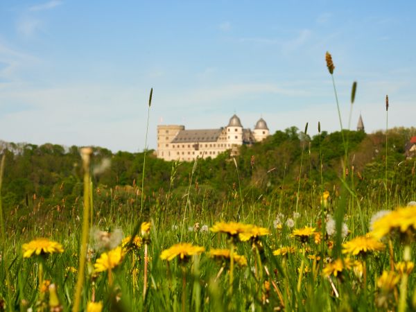 Wewelsburg im Frühling 2020_Lina Loos
